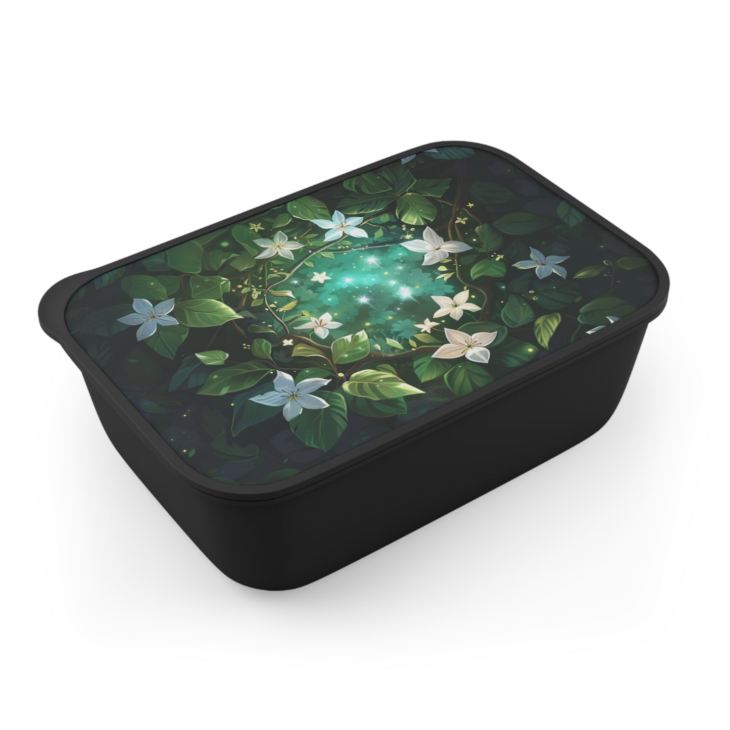 Ecofriendly Bento Box