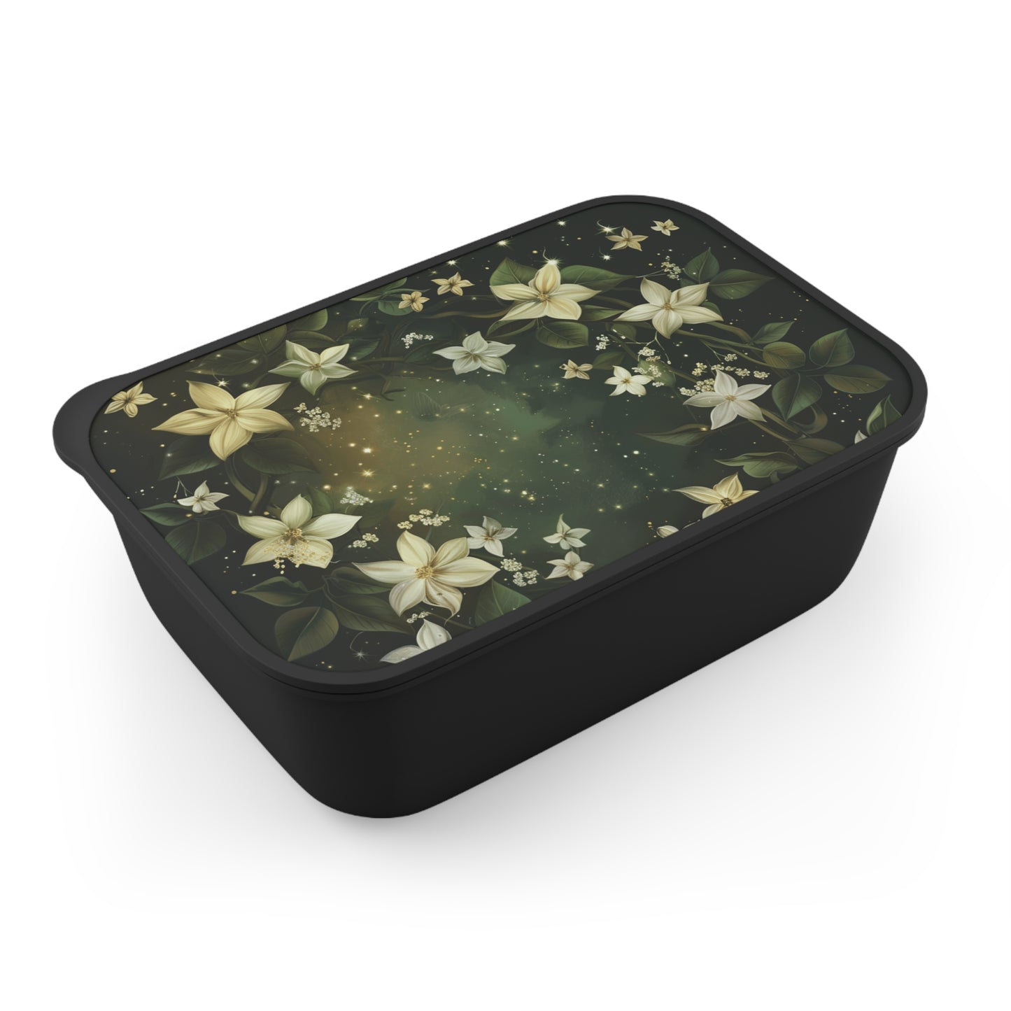 Ecofriendly Bento Box