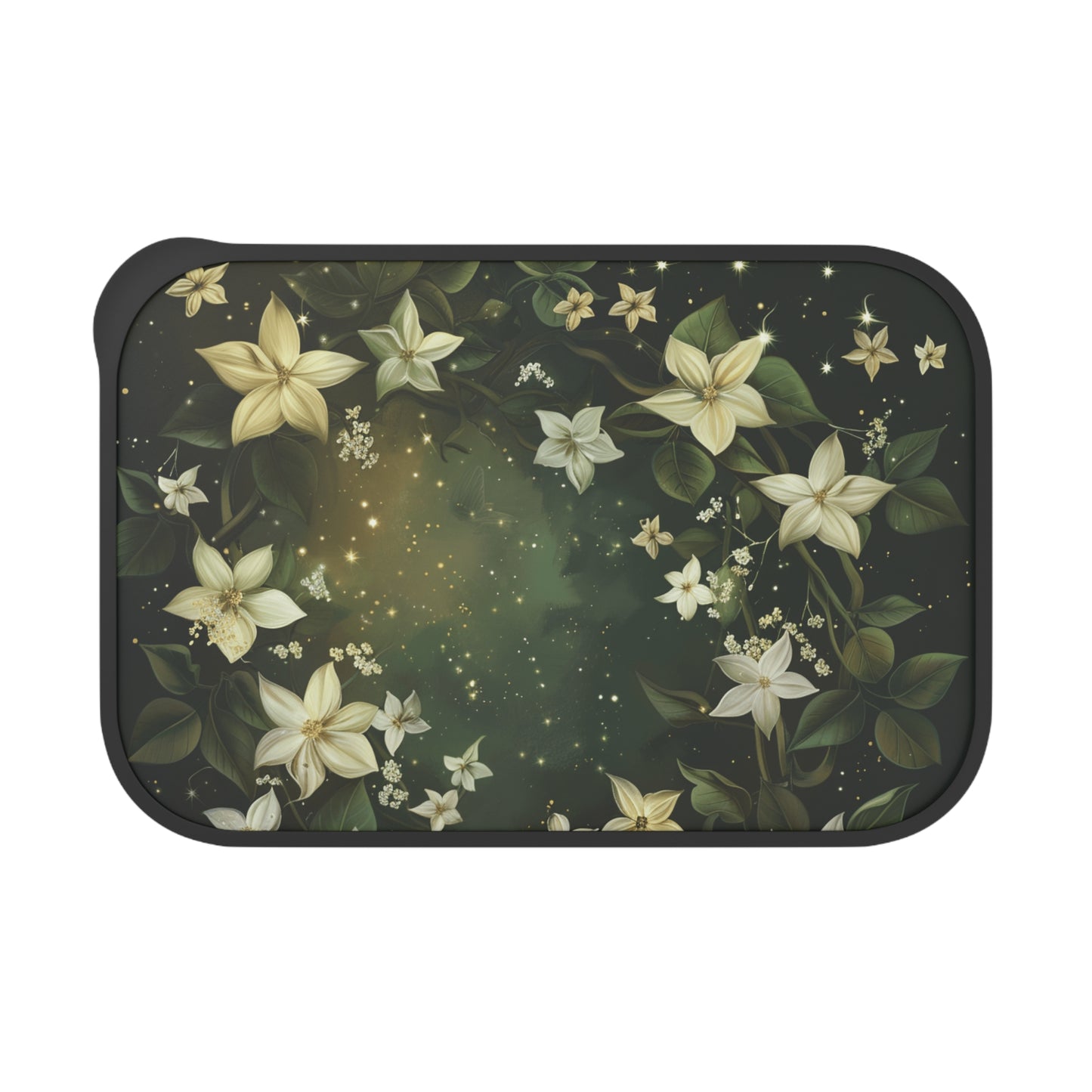 Ecofriendly Bento Box