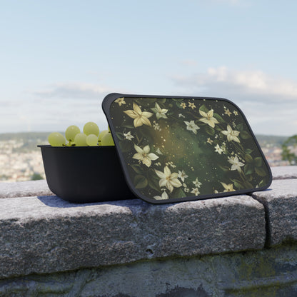 Ecofriendly Bento Box