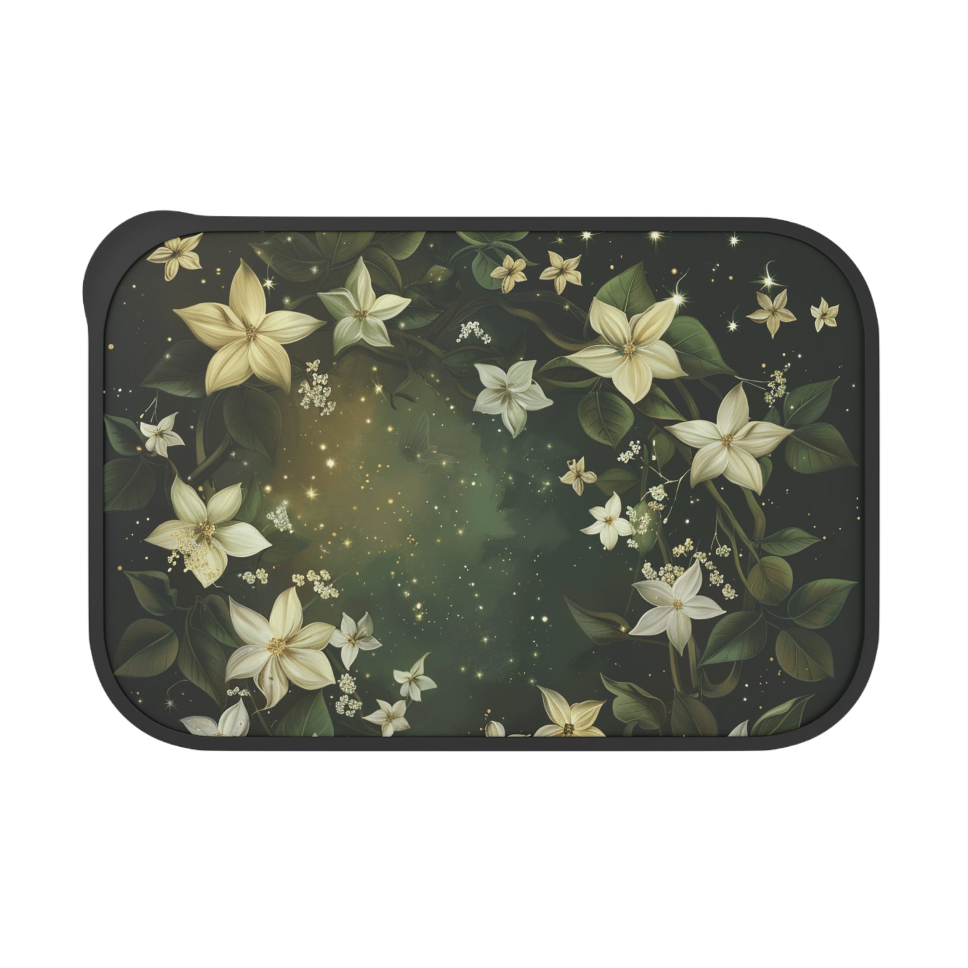 Ecofriendly Bento Box